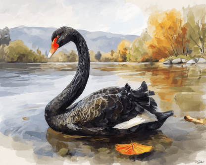Black Swan – Paint by Numbers Kit