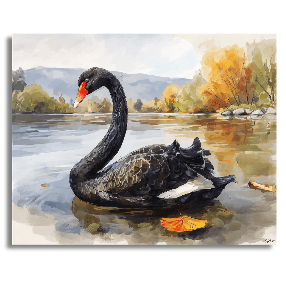 Black Swan – Paint by Numbers Kit