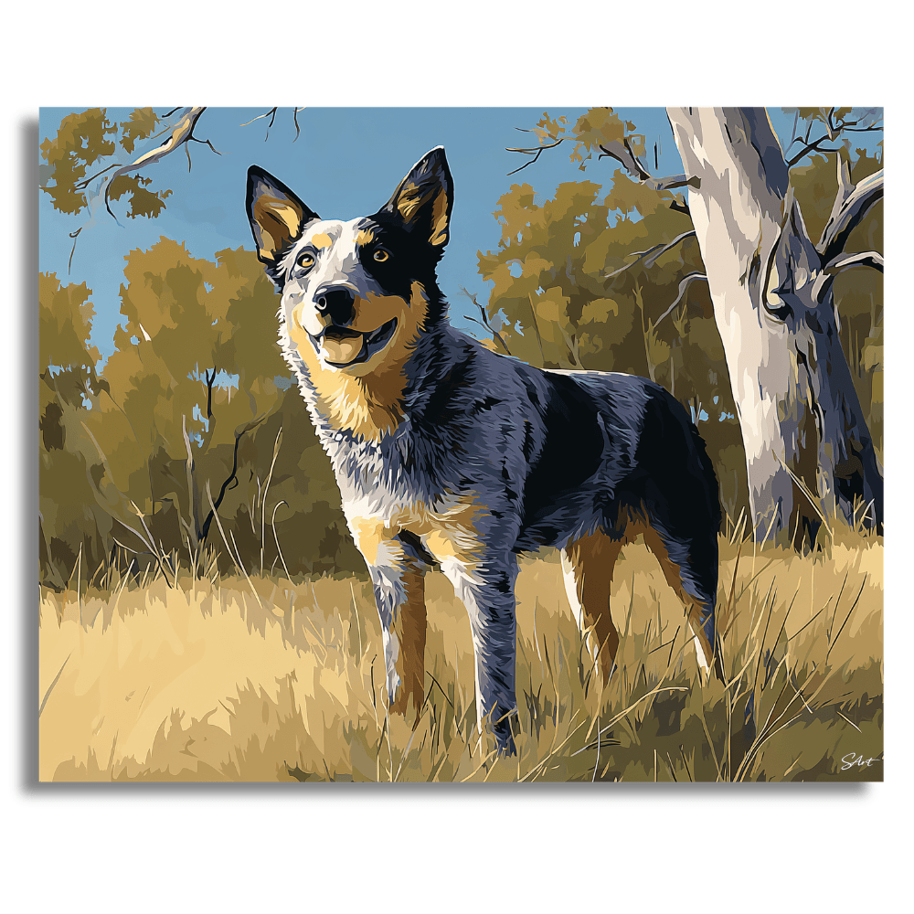 Happy Cattle Dog – Paint by Numbers Kit
