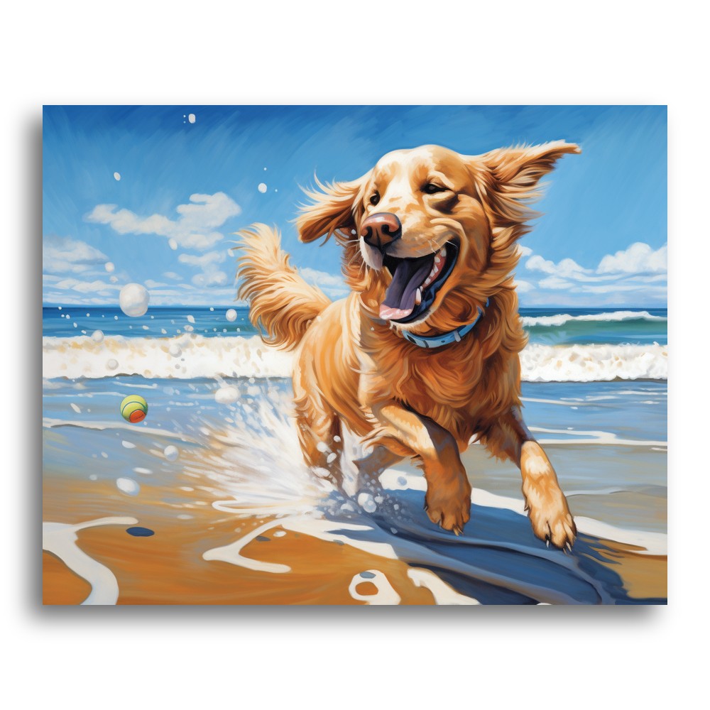 Golden Retriever Beach Joy – Paint by Numbers Kit
