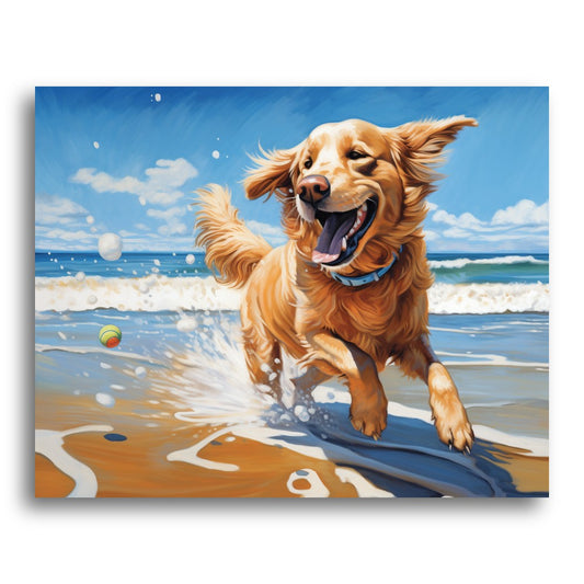 Golden Retriever Beach Joy – Paint by Numbers Kit