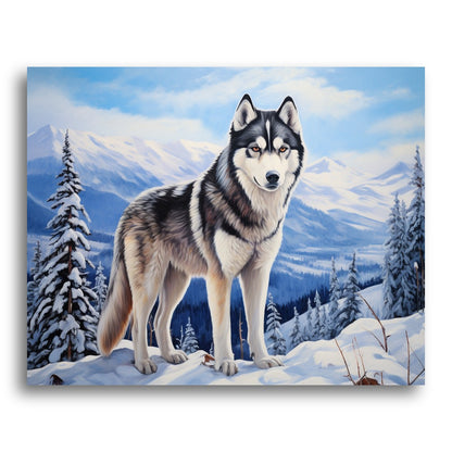Majestic Husky in Snow – Paint by Numbers Kit