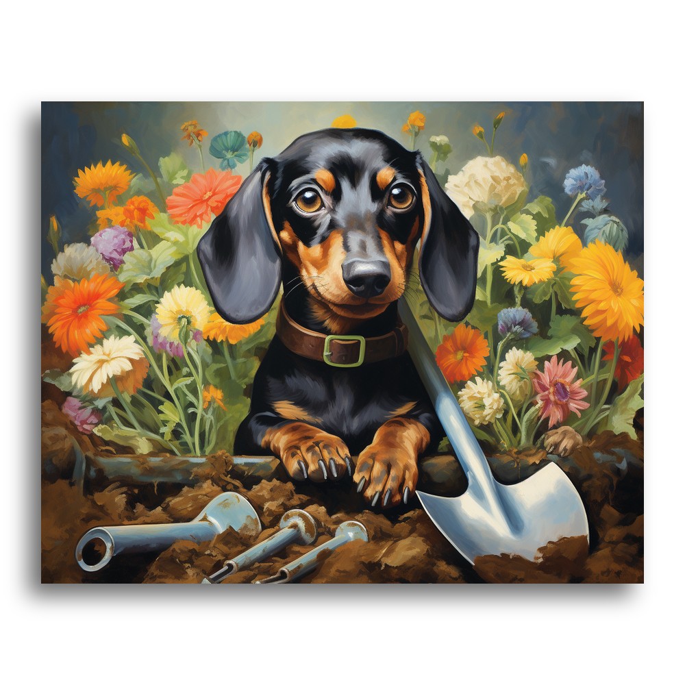 Garden Dachshund Delight – Paint by Numbers Kit