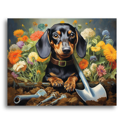 Garden Dachshund Delight – Paint by Numbers Kit