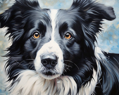 Regal Border Collie – Paint by Numbers Kit