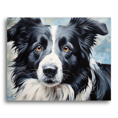 Regal Border Collie – Paint by Numbers Kit
