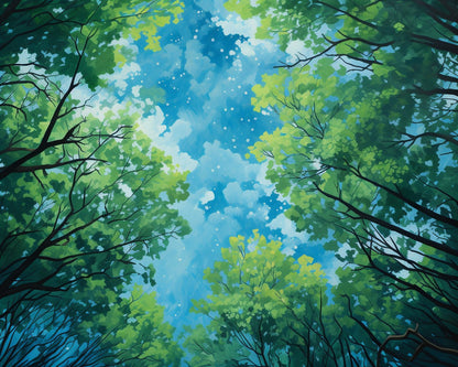 Canopy Sky View – Paint by Numbers Kit