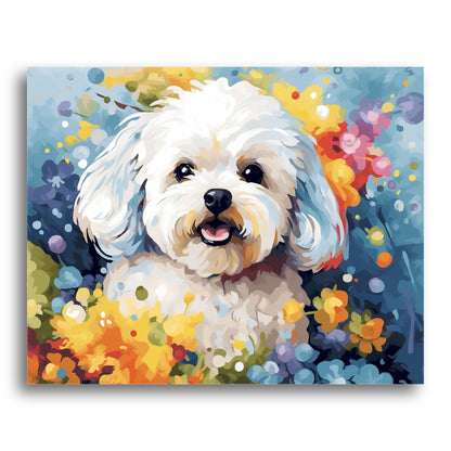Fluffy White Dog – Paint by Numbers Kit