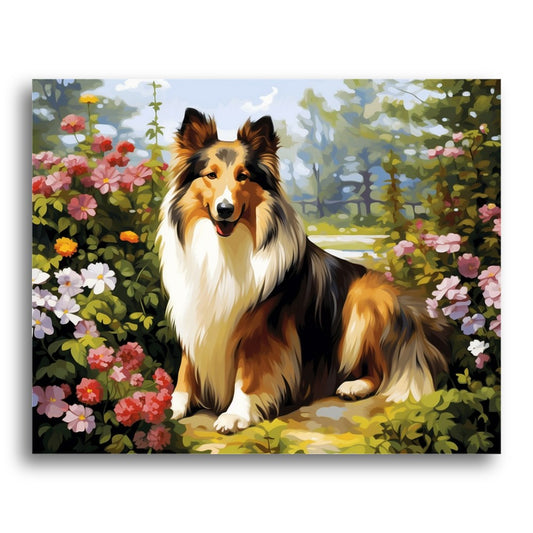 Garden Collie Portrait – Paint by Numbers Kit