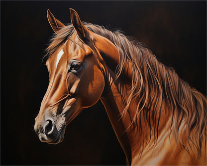 Majestic Chestnut Horse – Paint by Numbers Kit