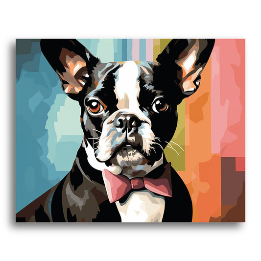 Dapper Boston Terrier – Paint by Numbers Kit