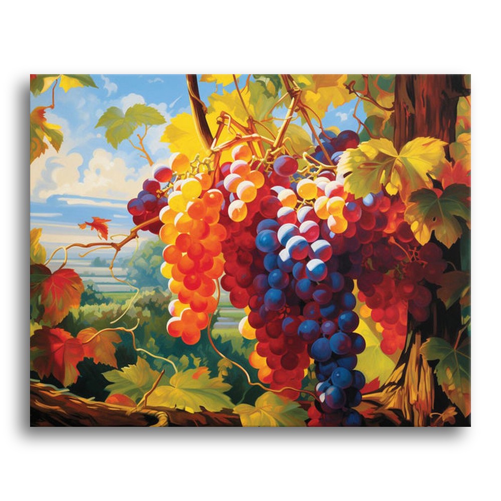 Sunlit Vineyard Grapes – Paint by Numbers Kit