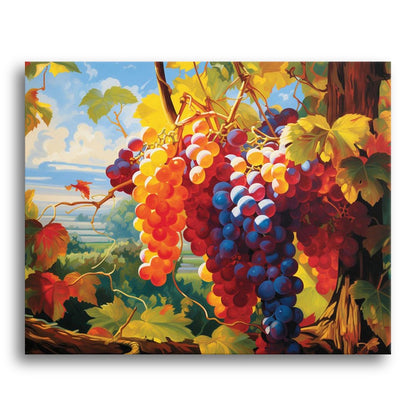 Sunlit Vineyard Grapes – Paint by Numbers Kit