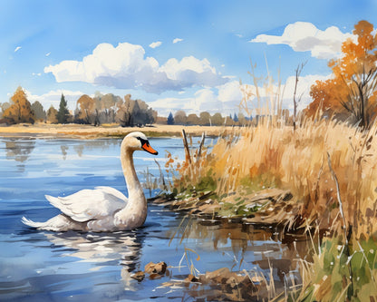 Serene Swan Lake – Paint by Numbers Kit