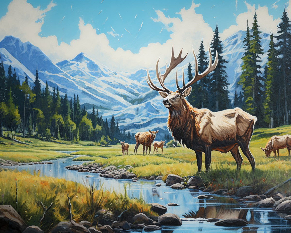 Majestic Elk Valley – Paint by Numbers Kit