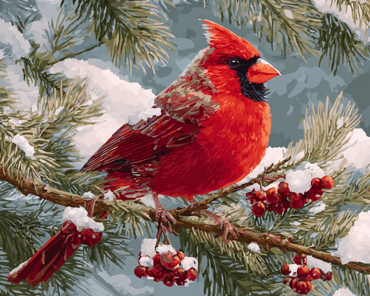 Winter Cardinal Perch – Paint by Numbers Kit