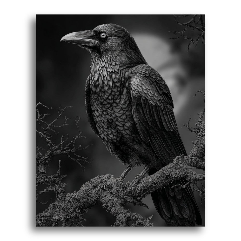 Moonlit Raven Perch – Paint by Numbers Kit