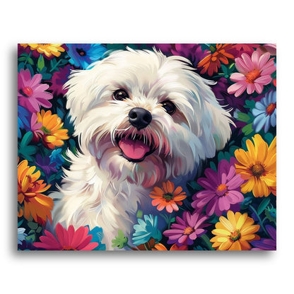Joyful Maltese Dog – Paint by Numbers Kit
