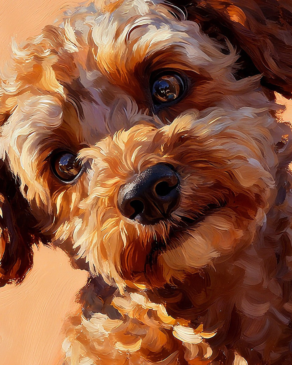 Golden Curly Dog – Paint by Numbers Kit
