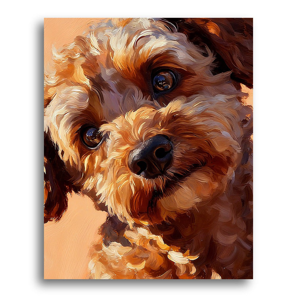 Golden Curly Dog – Paint by Numbers Kit