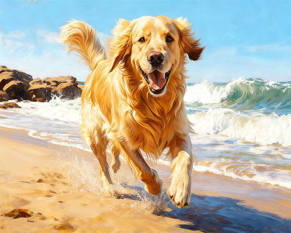 Golden Retriever Beach Run – Paint by Numbers Kit