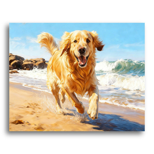 Golden Retriever Beach Run – Paint by Numbers Kit