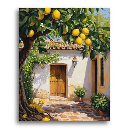 Sunlit Lemon Tree Courtyard – Paint by Numbers Kit