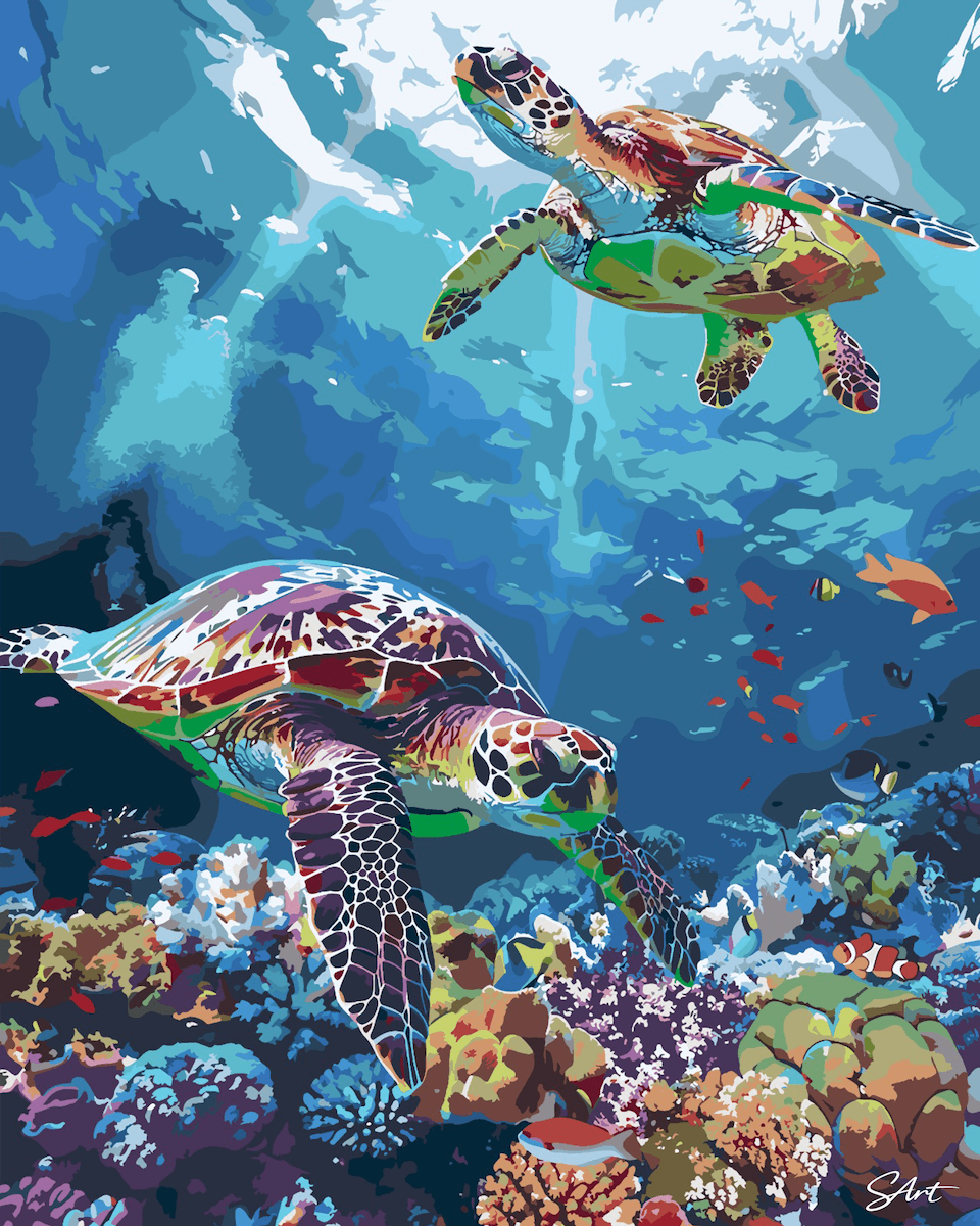 Reef Turtles - Paint by Numbers Kit