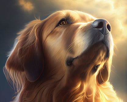 Golden Hour Portrait – Paint by Numbers Kit