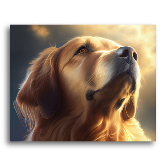 Golden Hour Portrait – Paint by Numbers Kit