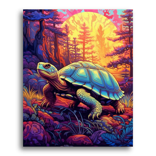 Turtle at Twilight – Paint by Numbers Kit