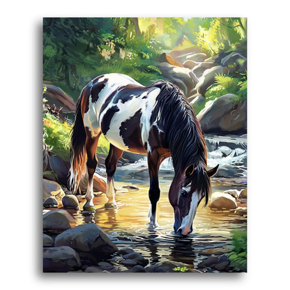 Sunlit Pinto Horse – Paint by Numbers Kit