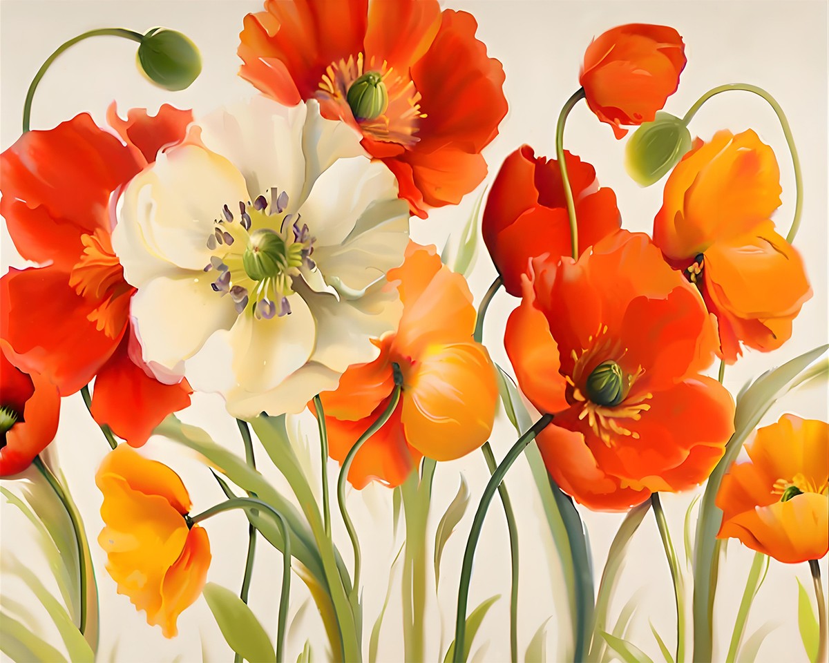 Radiant Poppy Blooms – Paint by Numbers Kit