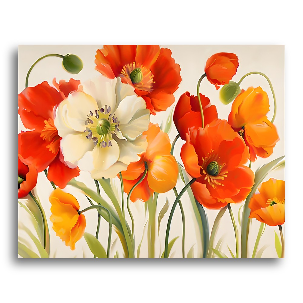 Radiant Poppy Blooms – Paint by Numbers Kit