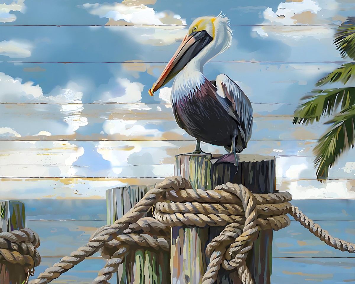 Harbor Pelican Perch – Paint by Numbers Kit