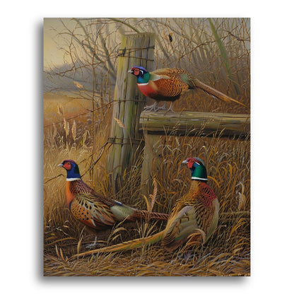 Autumn Pheasant Trio – Paint by Numbers Kit