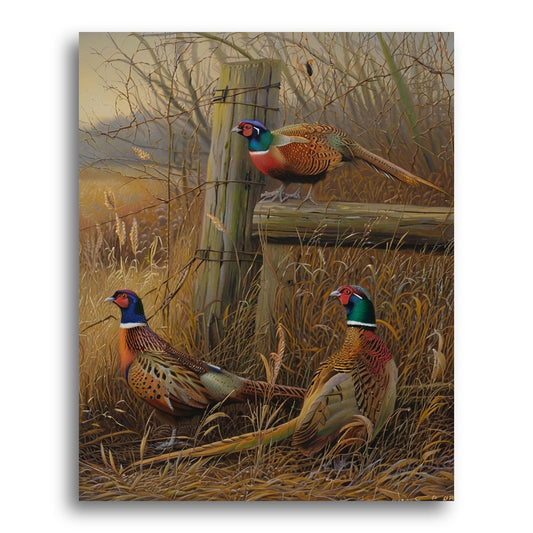 Autumn Pheasant Trio – Paint by Numbers Kit