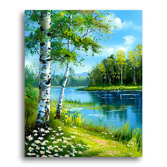 Birch Trees by River – Paint by Numbers Kit