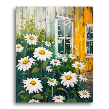 Daisy Cottage Garden – Paint by Numbers Kit