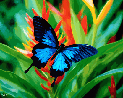 Ulysses Butterfly – Paint by Numbers Kit