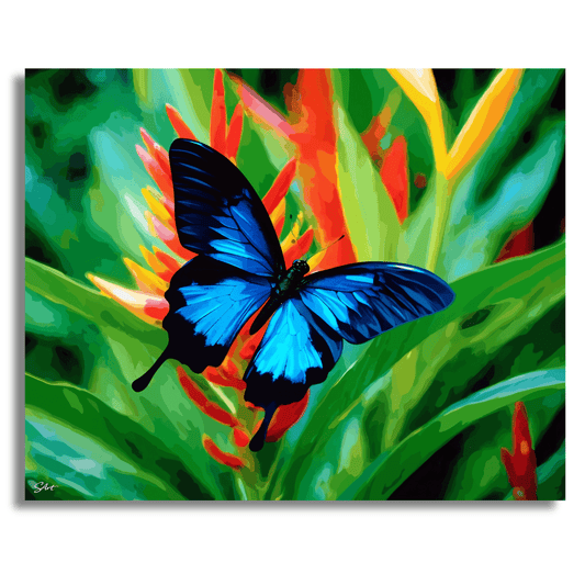 Ulysses Butterfly – Paint by Numbers Kit